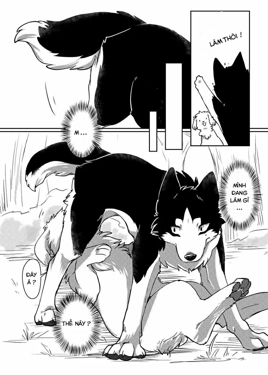 HentaiVN.net - Ảnh 12 - More More - Chap 1