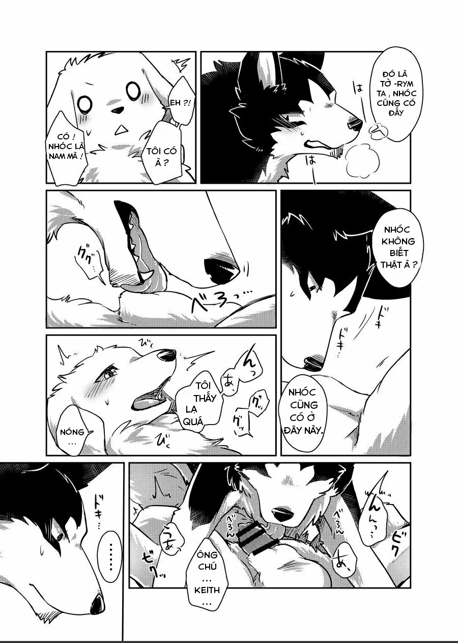 HentaiVN.net - Ảnh 15 - More More - Chap 1