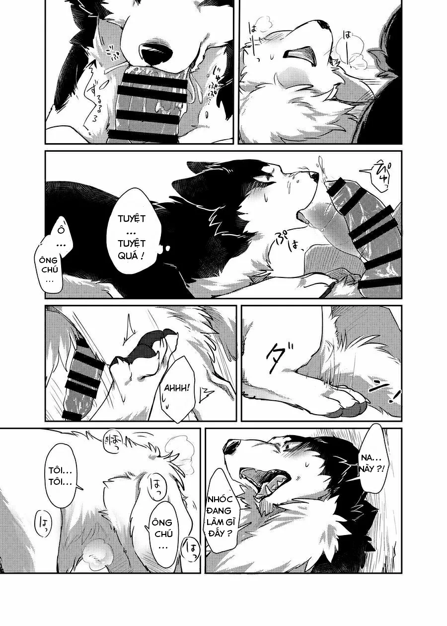 HentaiVN.net - Ảnh 18 - More More - Chap 1