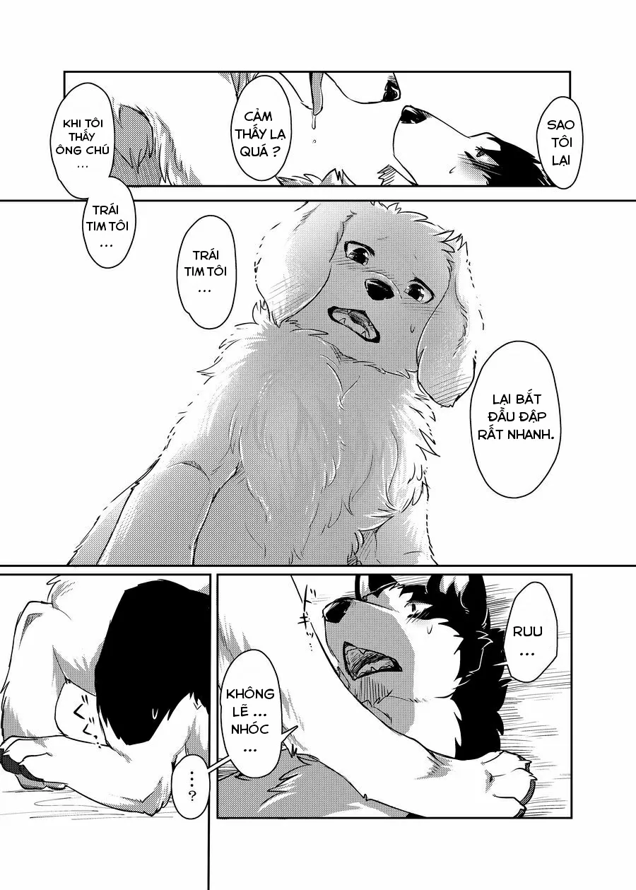 HentaiVN.net - Ảnh 19 - More More - Chap 1