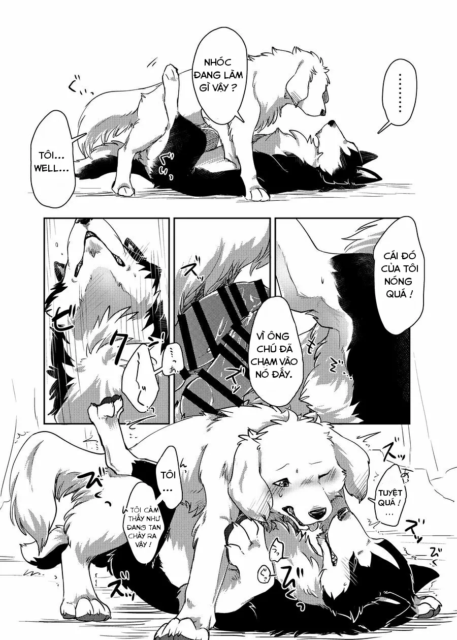 HentaiVN.net - Ảnh 20 - More More - Chap 1