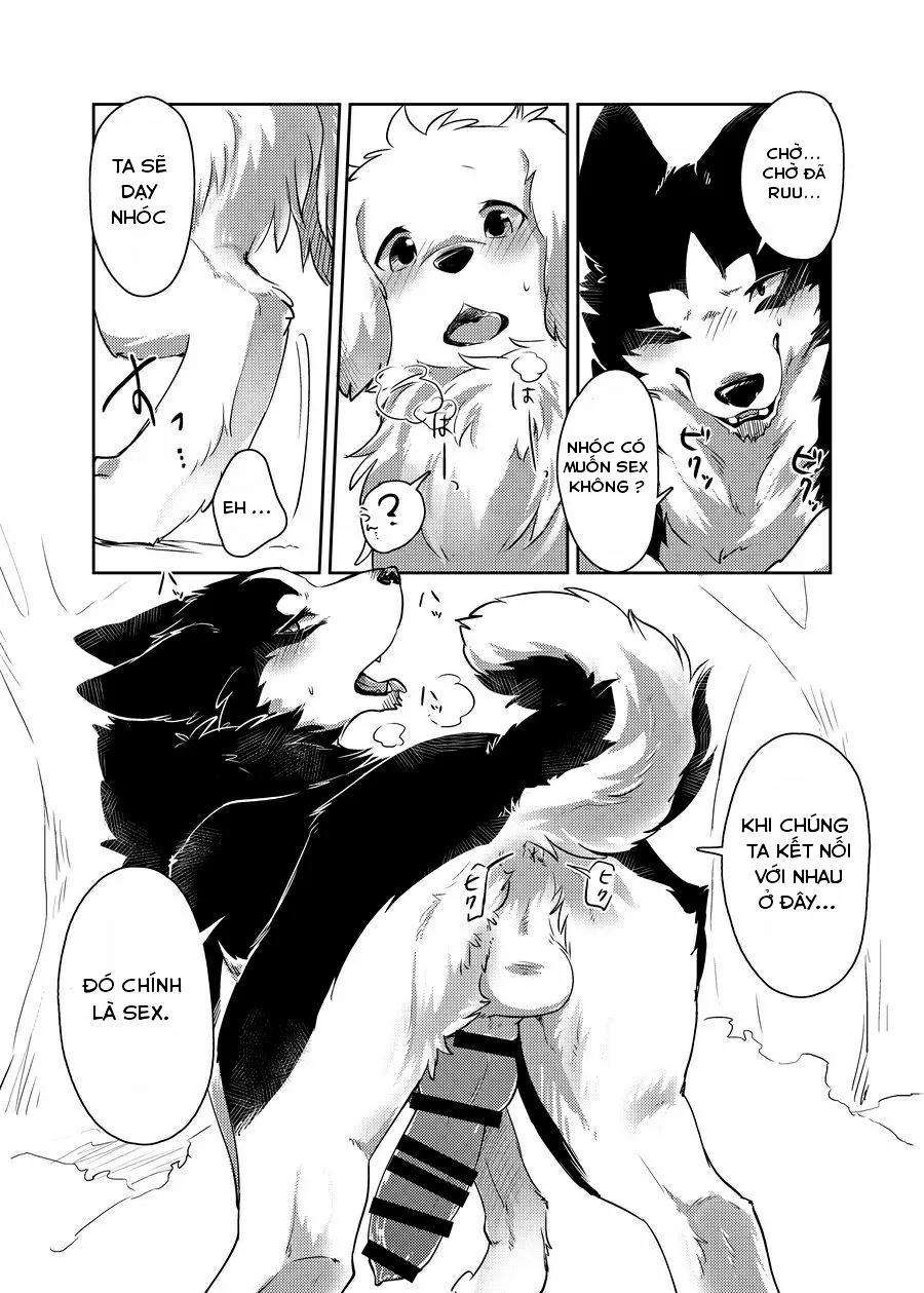 HentaiVN.net - Ảnh 21 - More More - Chap 1