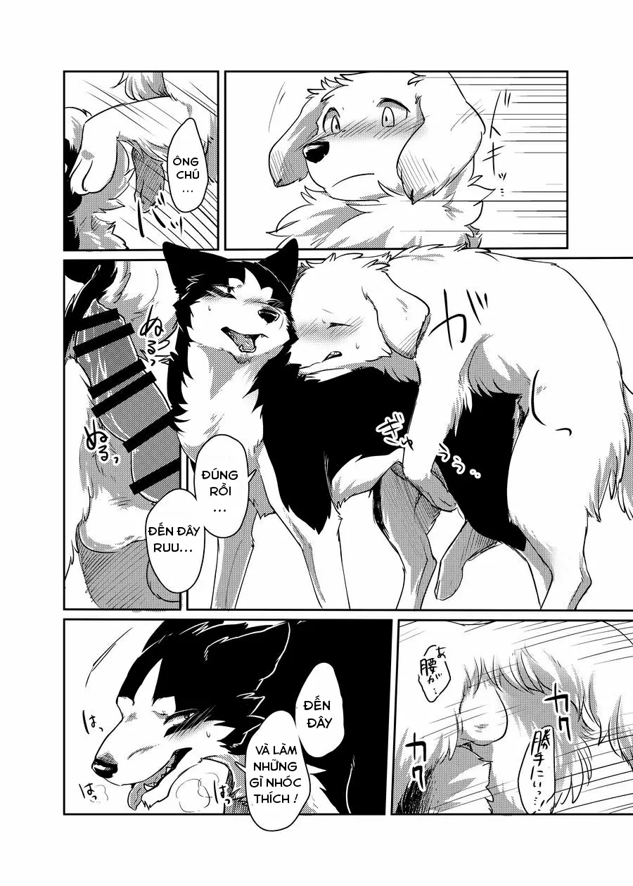 HentaiVN.net - Ảnh 22 - More More - Chap 1