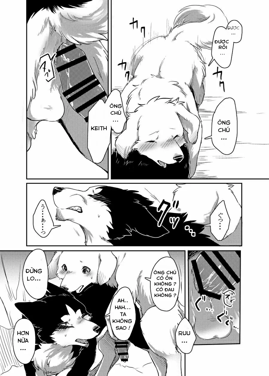 HentaiVN.net - Ảnh 23 - More More - Chap 1