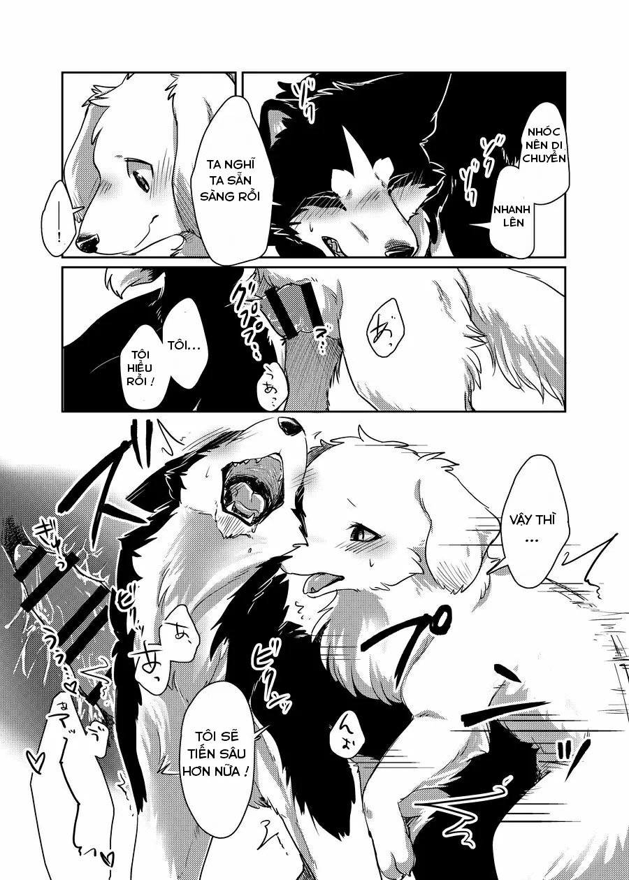 HentaiVN.net - Ảnh 24 - More More - Chap 1