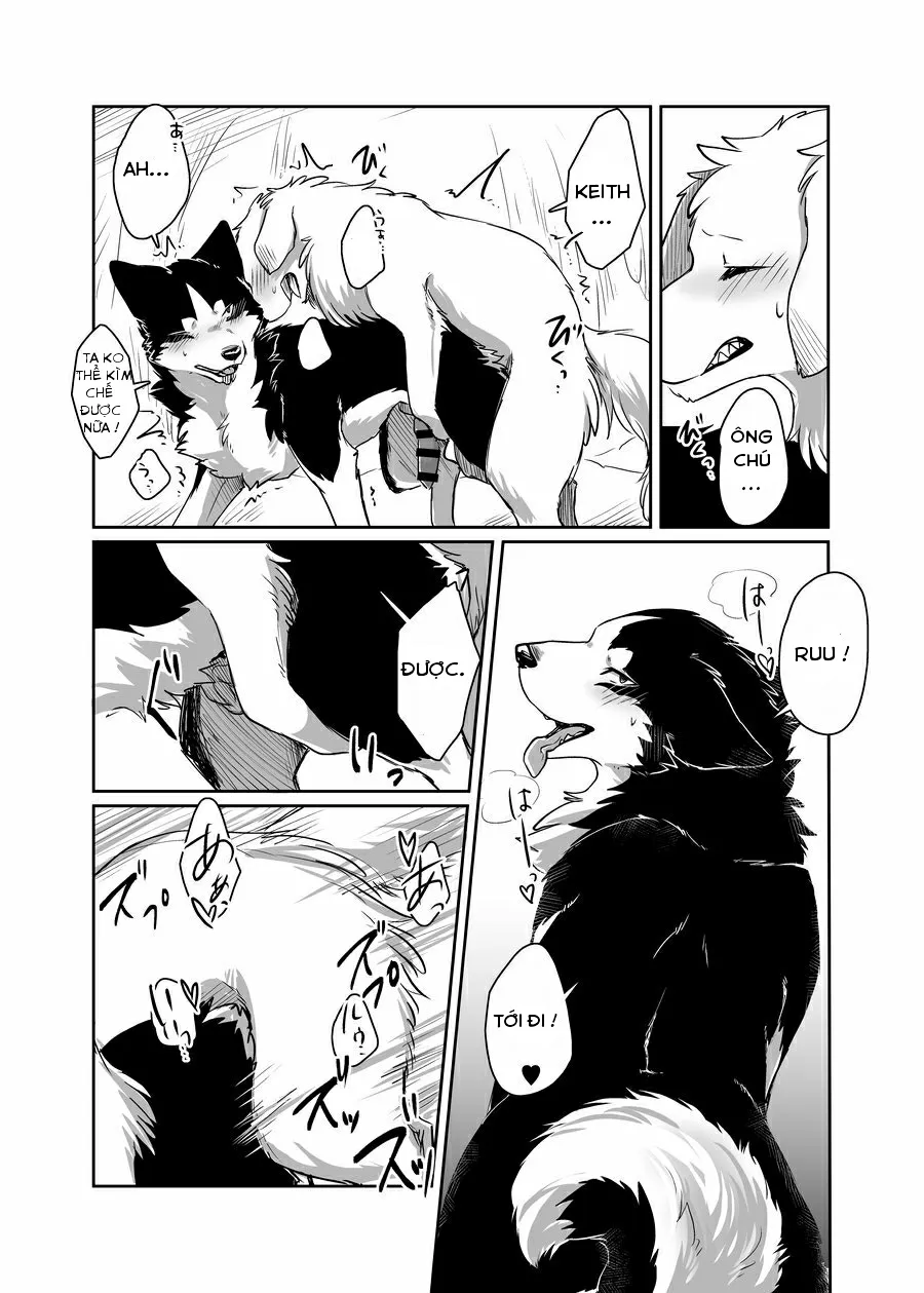 HentaiVN.net - Ảnh 26 - More More - Chap 1