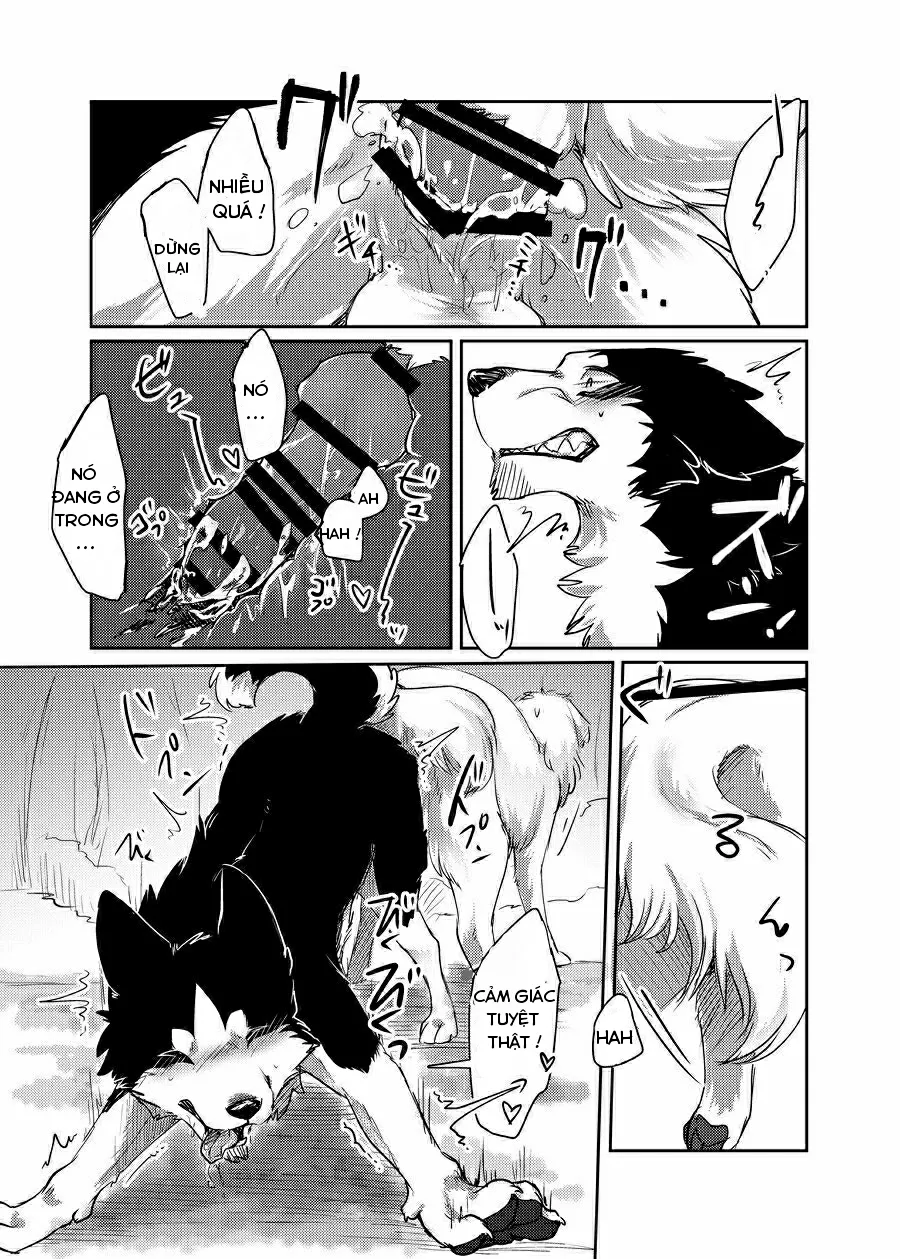 HentaiVN.net - Ảnh 28 - More More - Chap 1
