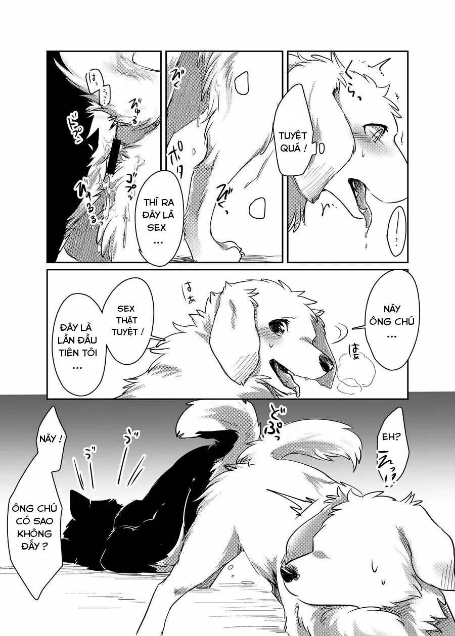 HentaiVN.net - Ảnh 29 - More More - Chap 1