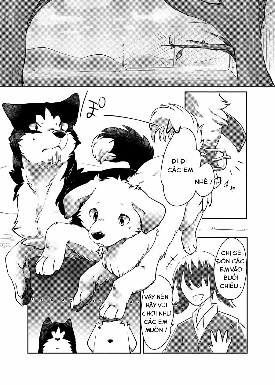 HentaiVN.net - Ảnh 3 - More More - Chap 1