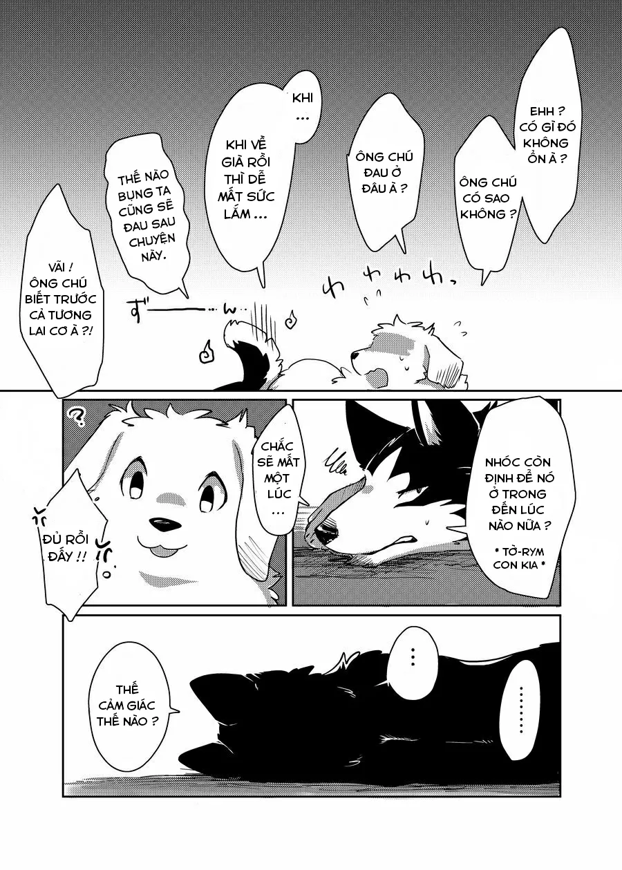 HentaiVN.net - Ảnh 30 - More More - Chap 1