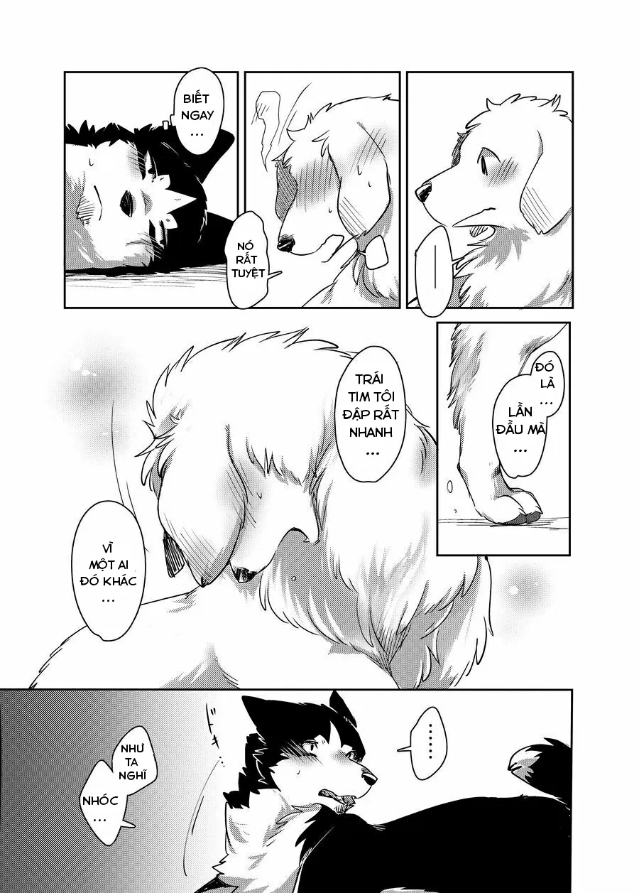 HentaiVN.net - Ảnh 31 - More More - Chap 1
