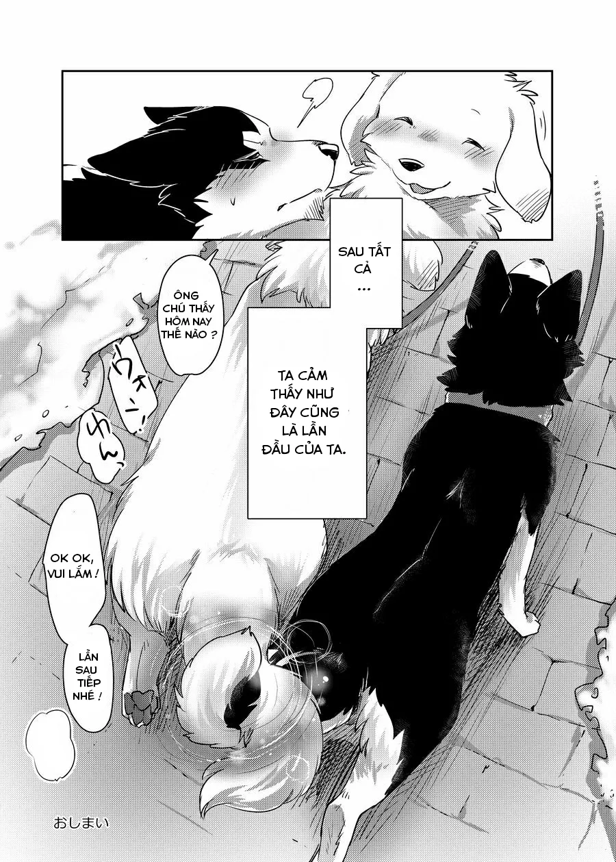 HentaiVN.net - Ảnh 35 - More More - Chap 1