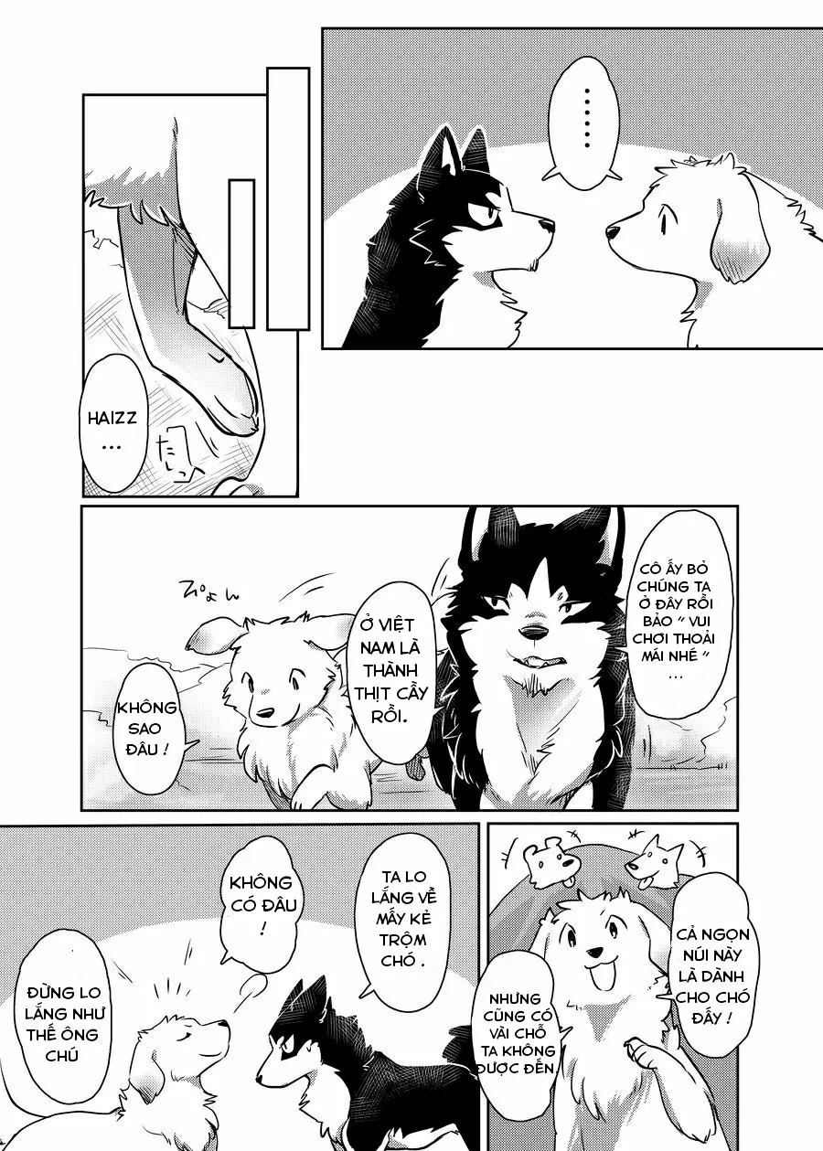 HentaiVN.net - Ảnh 4 - More More - Chap 1