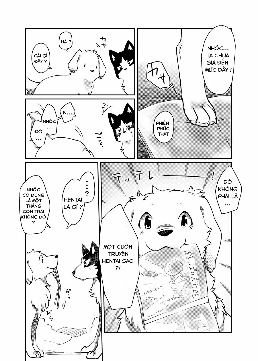 HentaiVN.net - Ảnh 5 - More More - Chap 1