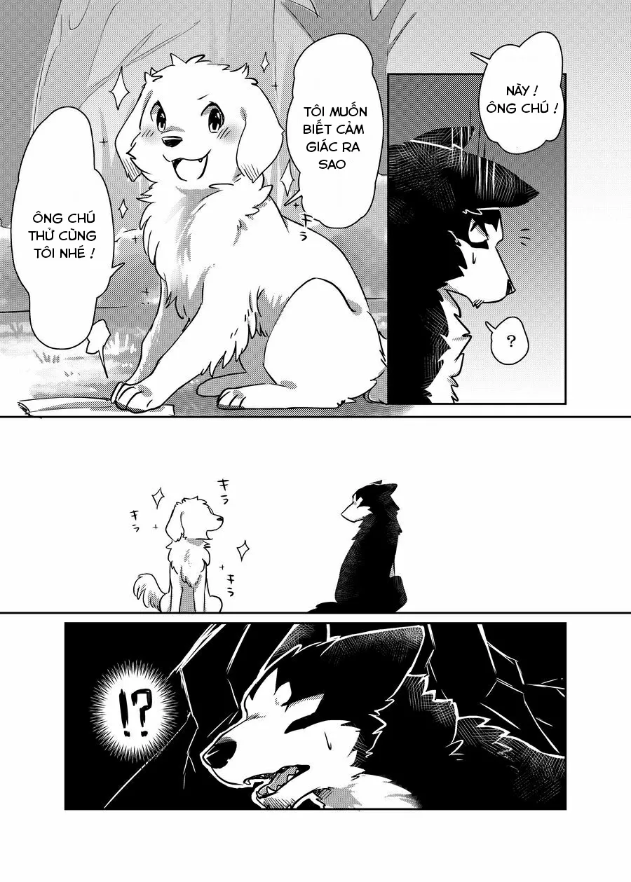 HentaiVN.net - Ảnh 7 - More More - Chap 1