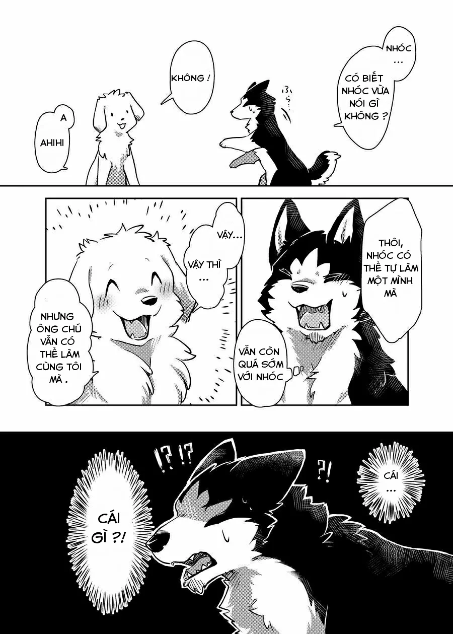 HentaiVN.net - Ảnh 8 - More More - Chap 1