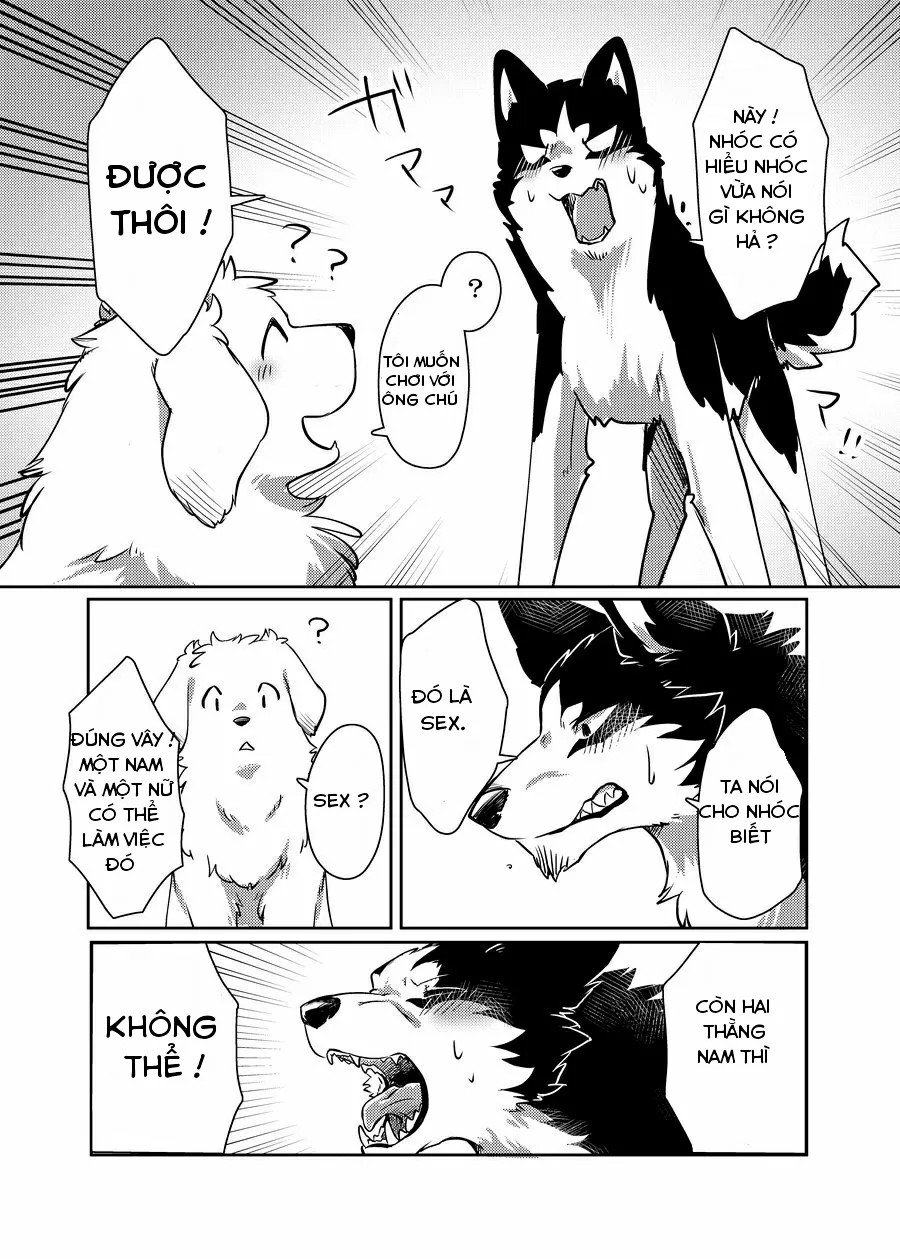 HentaiVN.net - Ảnh 9 - More More - Chap 1