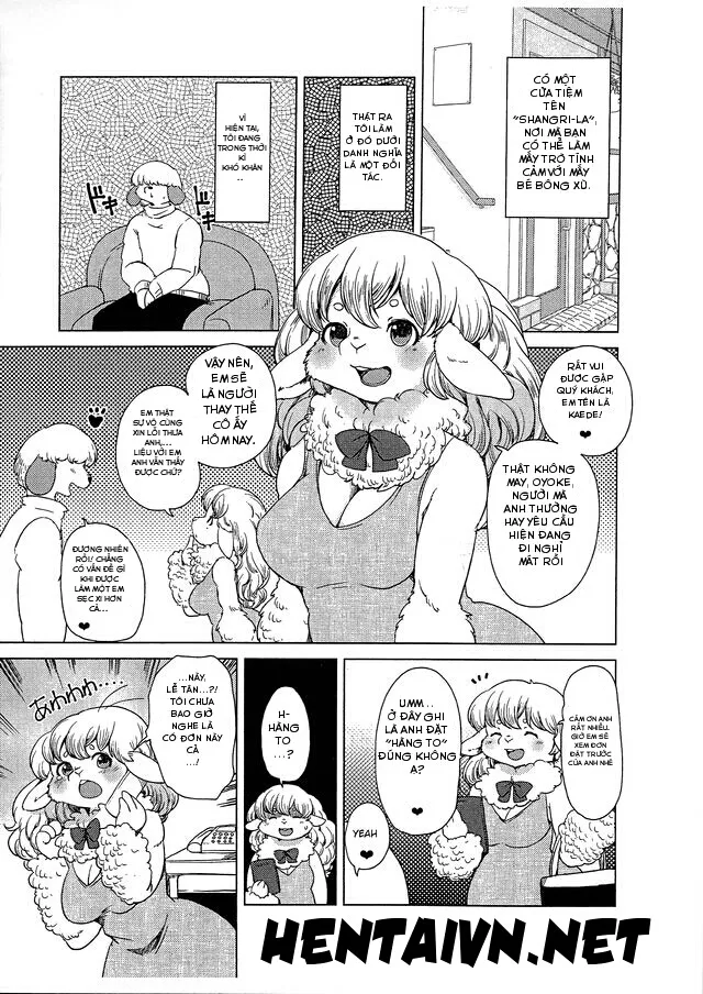 HentaiVN.net - Ảnh 3 - Mofumofu Momojiri Hitsujimusume - Chap 1