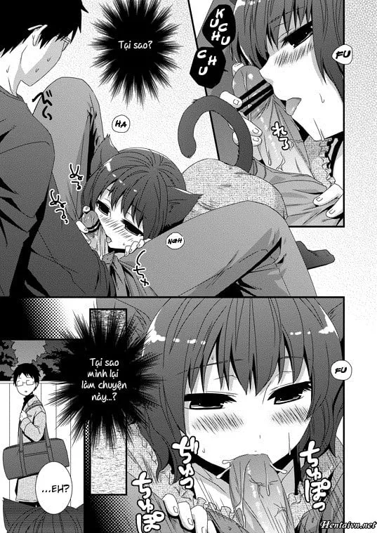 HentaiVN.net - Ảnh 2 - Koneko Hiroimashita - Chap 1