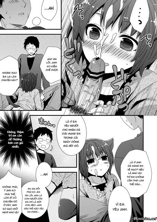 HentaiVN.net - Ảnh 4 - Koneko Hiroimashita - Chap 1