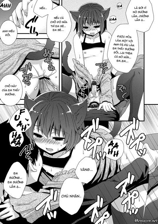 HentaiVN.net - Ảnh 6 - Koneko Hiroimashita - Chap 1