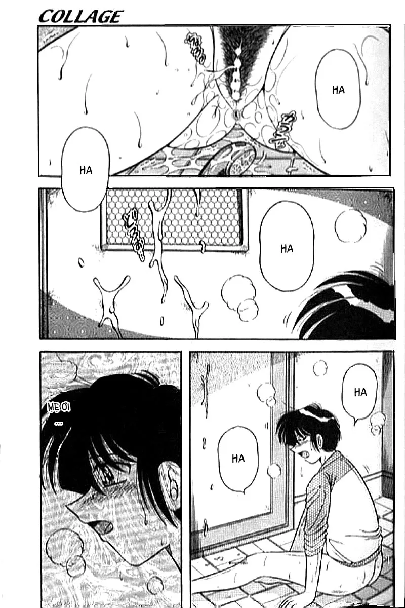 HentaiVN.net - Ảnh 17 - COLLAGE - Chap 1