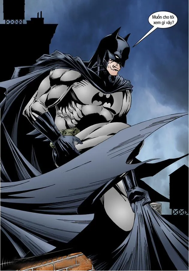 HentaiVN.net - Ảnh 3 - Batman XXX Catwoman - Chap 1