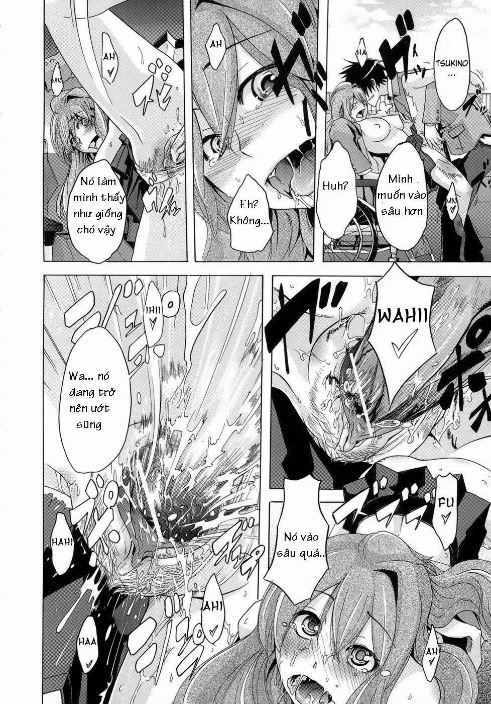 HentaiVN.net - Ảnh 30 - Barrier Free - Chap 1