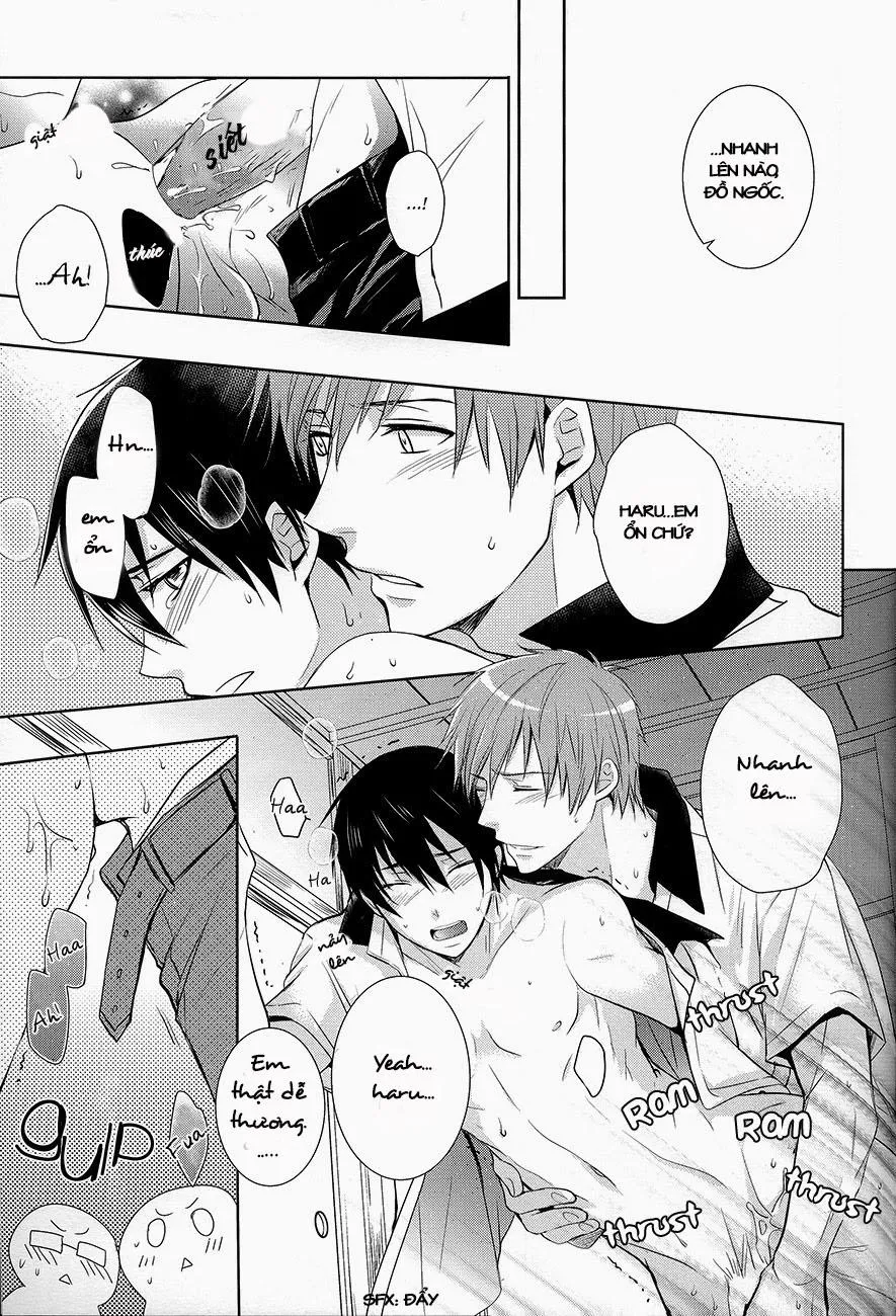 HentaiVN.net - Ảnh 10 - Splash Honey (Free!) - Chap 1