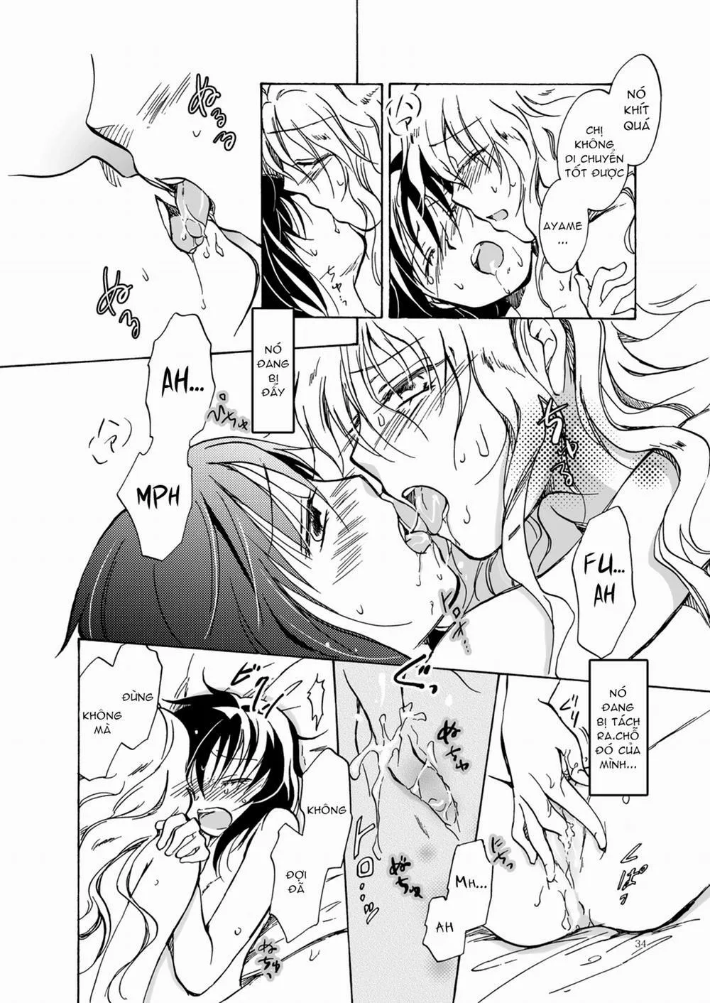 HentaiVN.net - Ảnh 34 - Crimson Fantasy - Chap 1