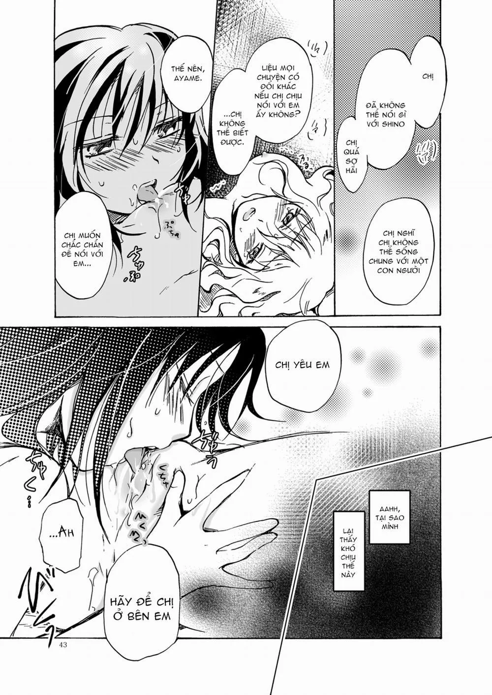 HentaiVN.net - Ảnh 43 - Crimson Fantasy - Chap 1