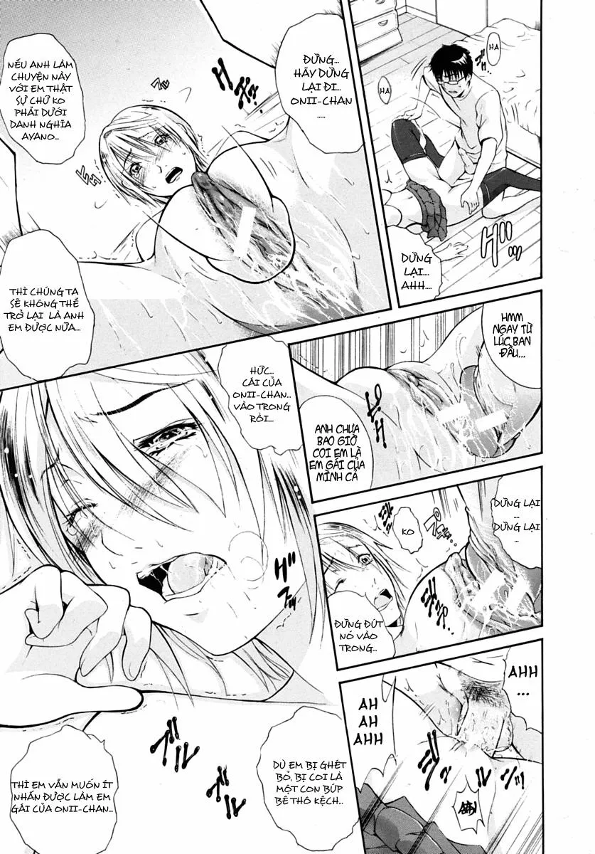 HentaiVN.net - Ảnh 21 - Kin Kira - Chap 1