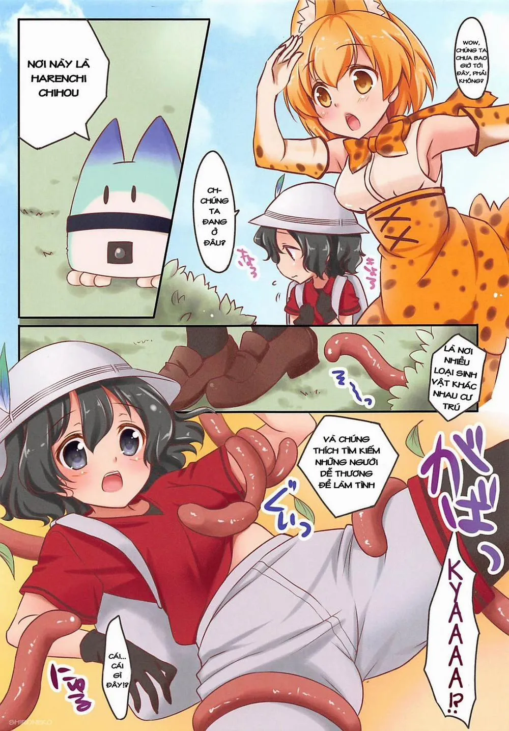 HentaiVN.net - Ảnh 4 - Harenchi Chihou (Kemono Friends) - Chap 1
