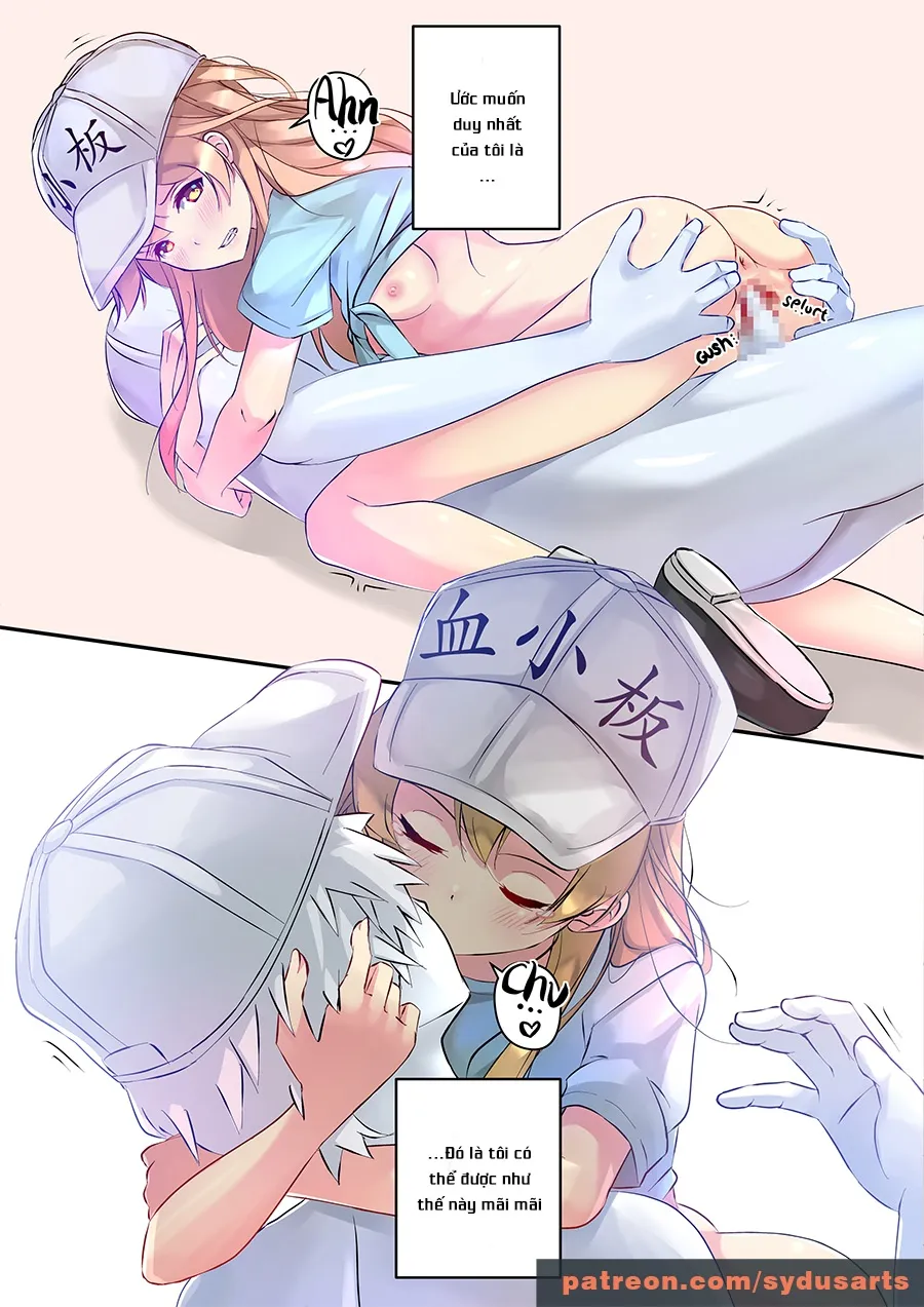 HentaiVN.net - Ảnh 5 - When Platelets Reach Adulthood (Hataraku Saibou) [Adult Platelet Doujin] - Chap 1