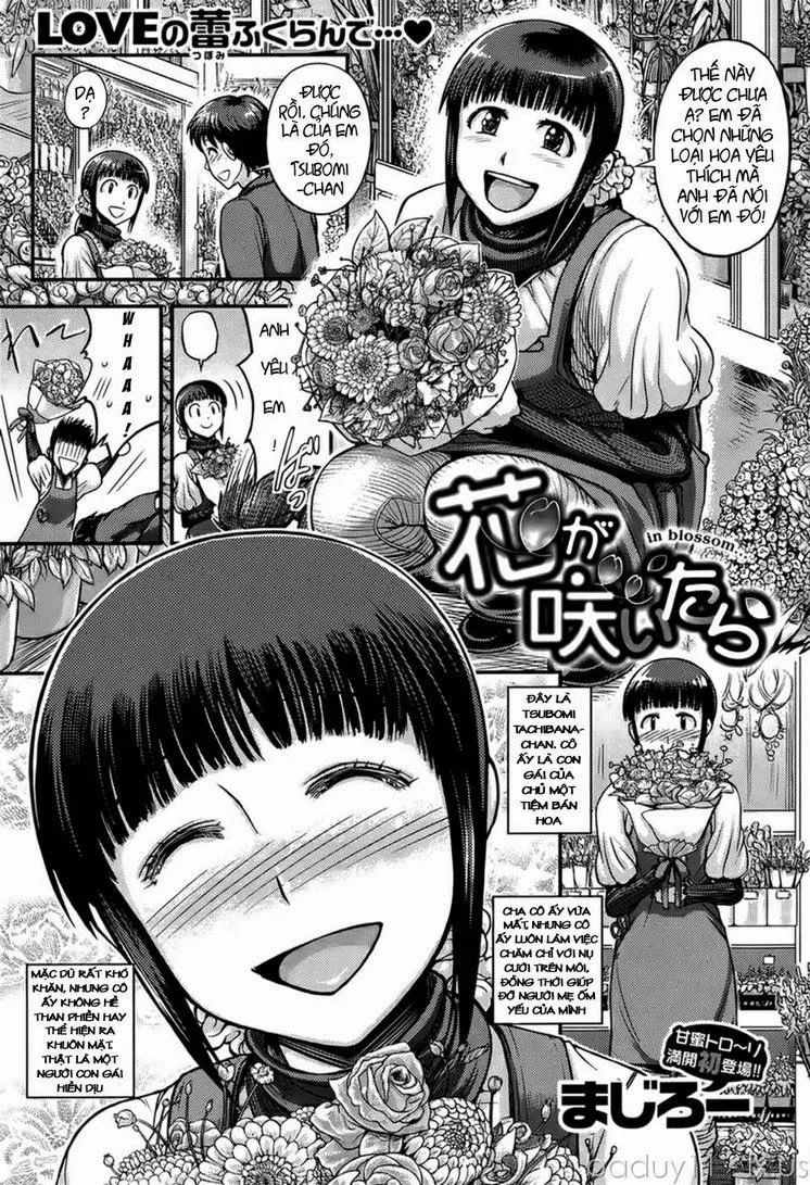 HentaiVN.net - Ảnh 1 - In blossom - Chap 1