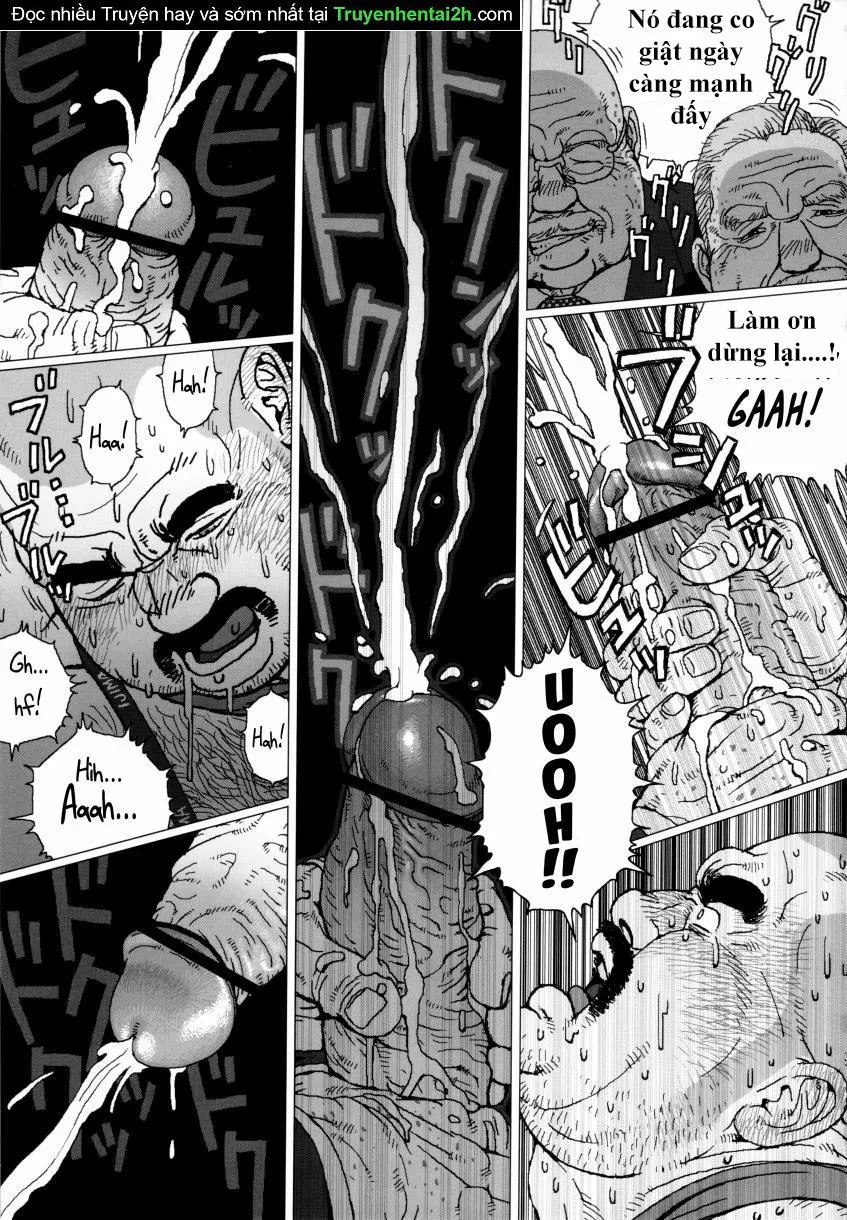 HentaiVN.net - Ảnh 10 - The CEO's Toy - Chap 1