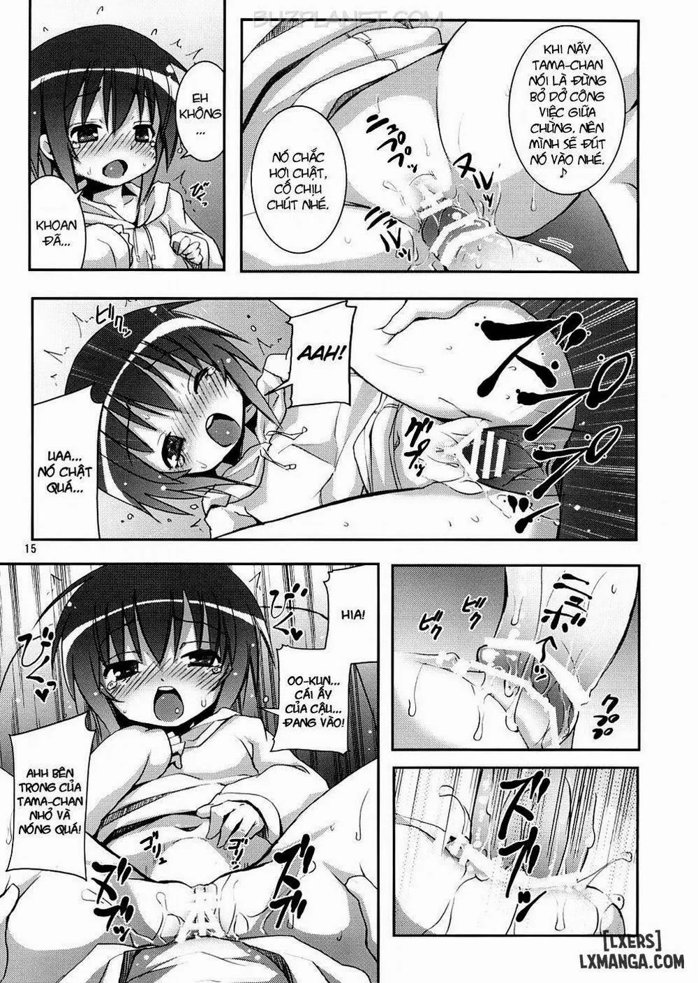 HentaiVN.net - Ảnh 14 - Tama-Chan To Date - Chap 1