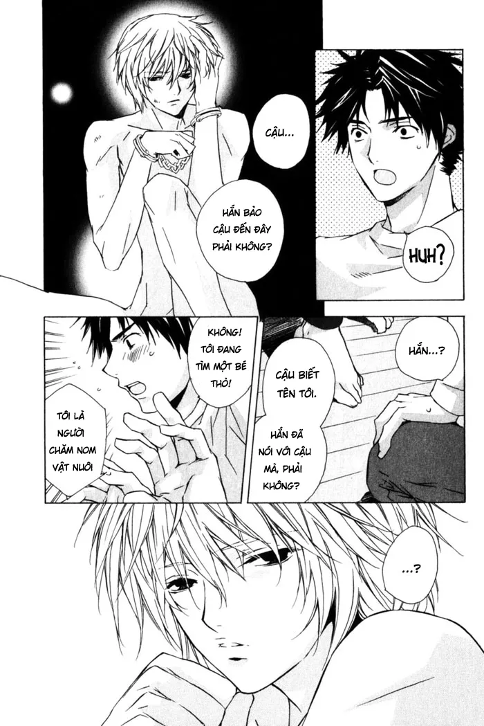 HentaiVN.net - Ảnh 8 - Ngôi nhà của chú thỏ trắng! [The Rabbit in the House] - Chap 1