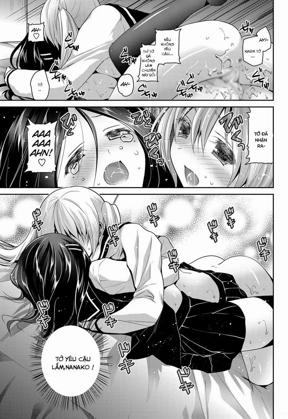 HentaiVN.net - Ảnh 20 - Kirei Na Kanojo No Aishi kata - Chap 1
