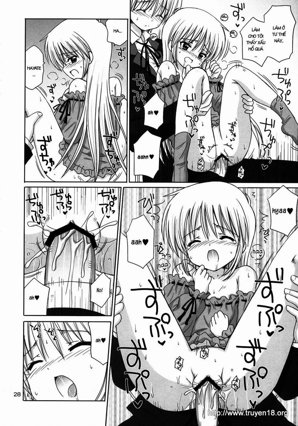 HentaiVN.net - Ảnh 27 - Pretty Baby (Hayate No Gotoku) - Chap 1