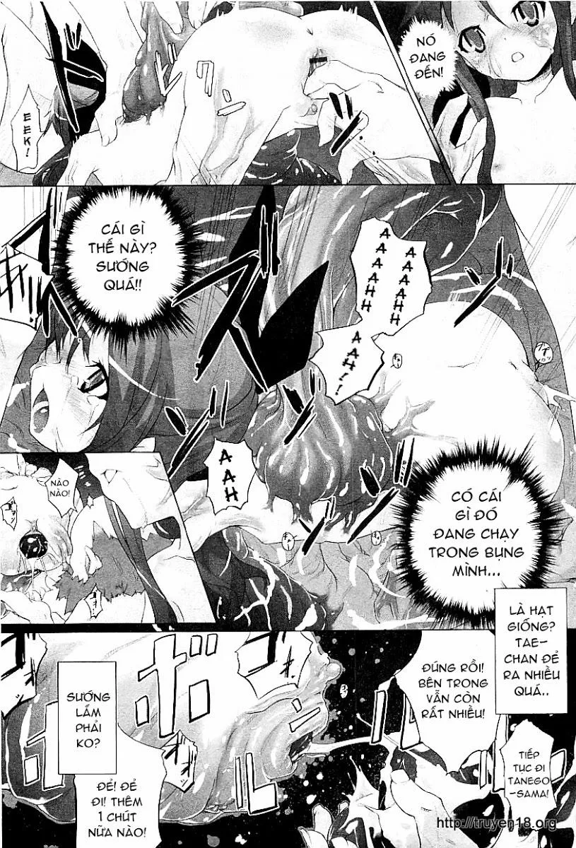 HentaiVN.net - Ảnh 9 - Tanego-Sama - Chap 1