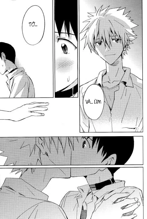 HentaiVN.net - Ảnh 10 - STARLIGHT (Neon Genesis Evangelion) [Ánh sao] - Chap 1