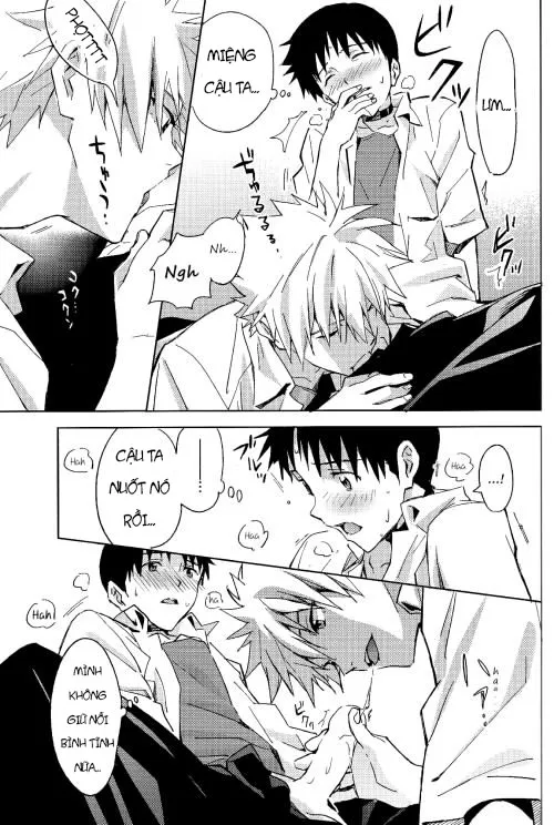 HentaiVN.net - Ảnh 16 - STARLIGHT (Neon Genesis Evangelion) [Ánh sao] - Chap 1