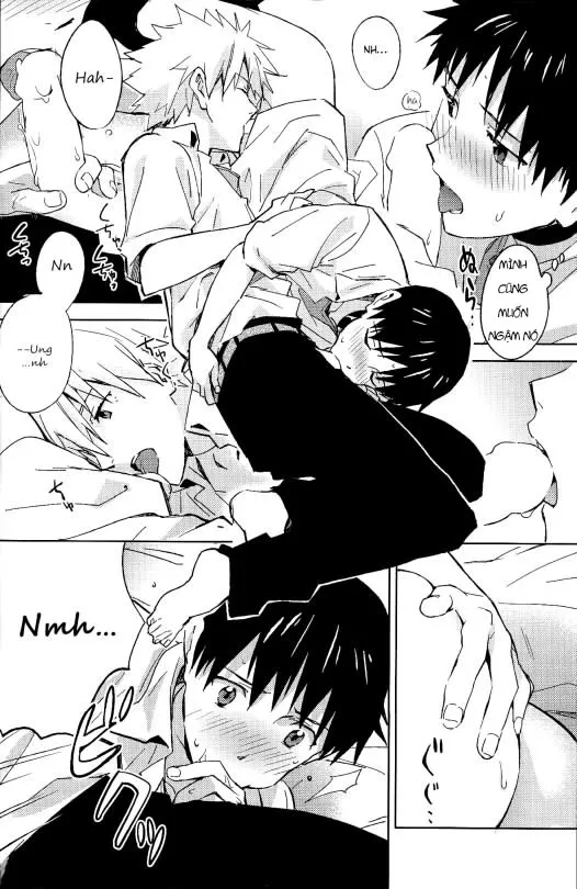 HentaiVN.net - Ảnh 17 - STARLIGHT (Neon Genesis Evangelion) [Ánh sao] - Chap 1