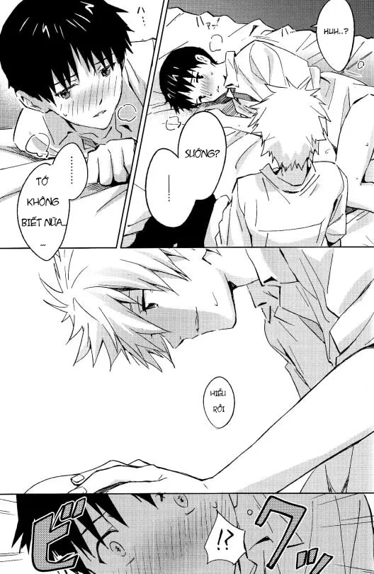 HentaiVN.net - Ảnh 20 - STARLIGHT (Neon Genesis Evangelion) [Ánh sao] - Chap 1