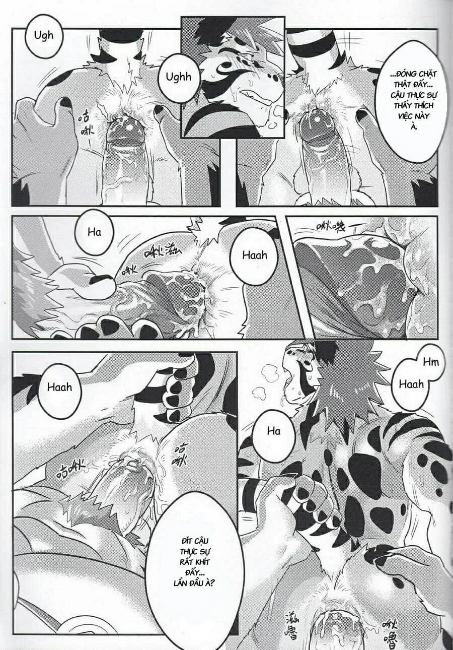 HentaiVN.net - Ảnh 15 - Nekojishi EXTRA - Chap 1