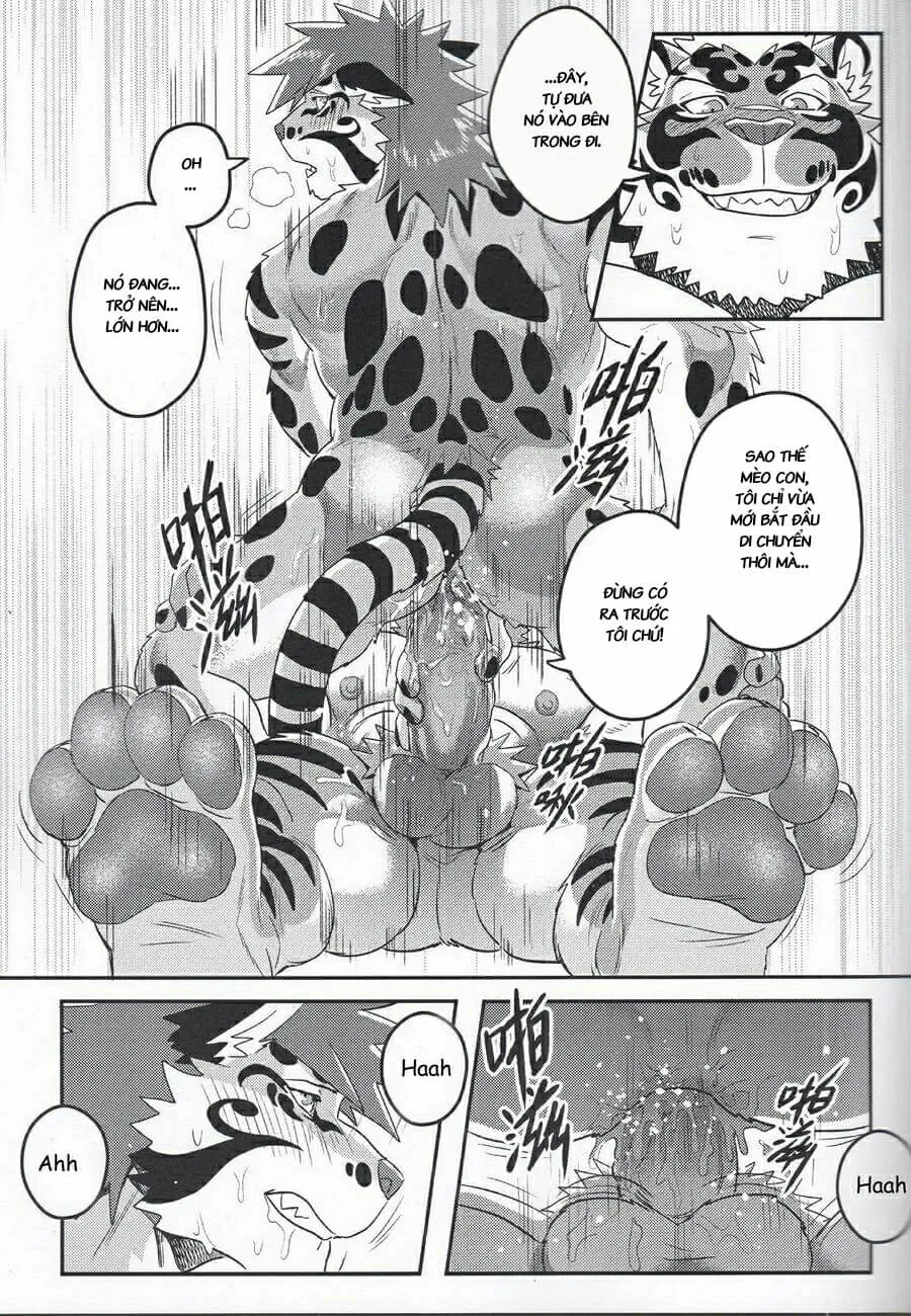 HentaiVN.net - Ảnh 17 - Nekojishi EXTRA - Chap 1