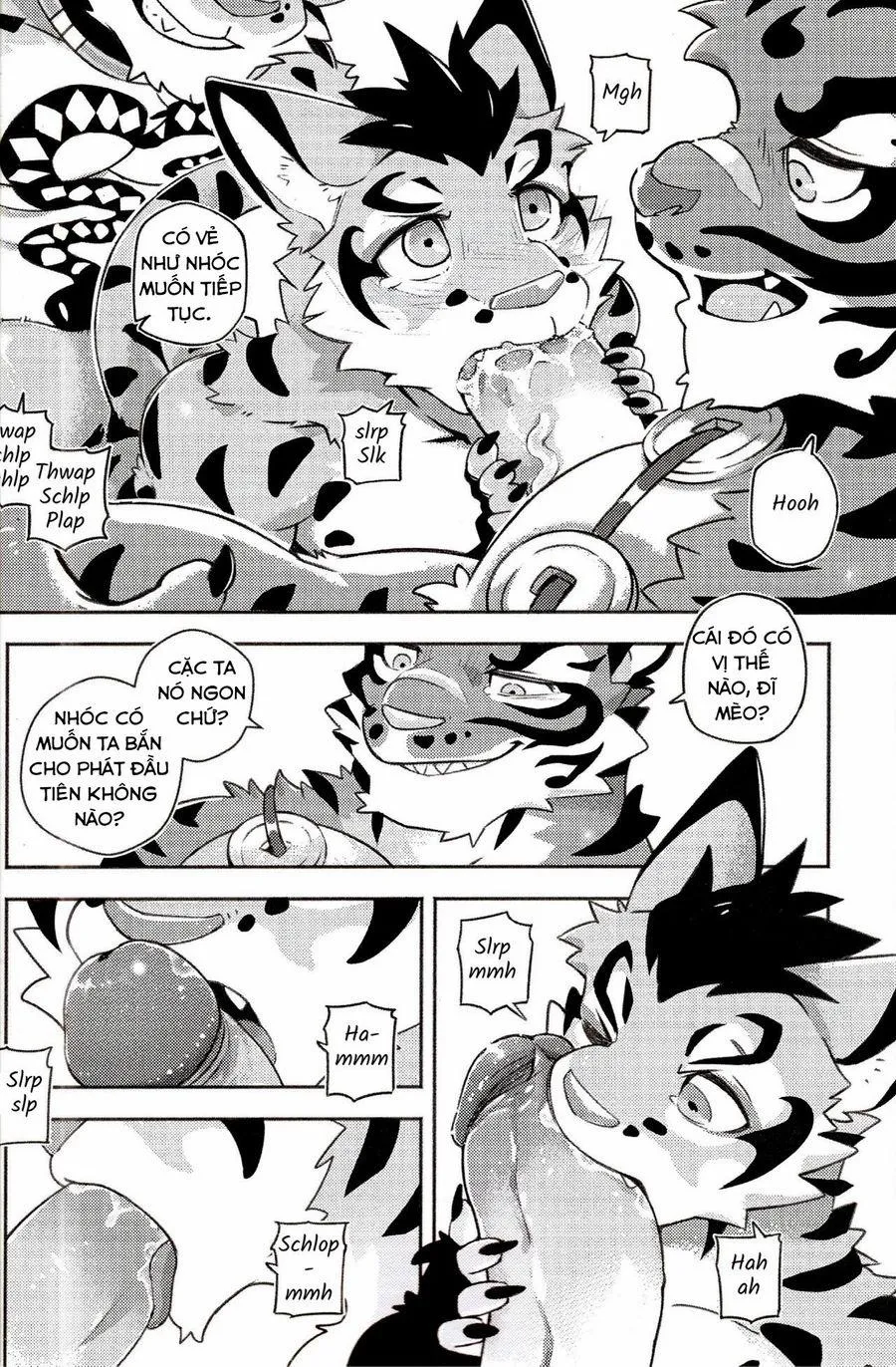 HentaiVN.net - Ảnh 12 - Nekonoyu (Nekojishi) - Chap 1
