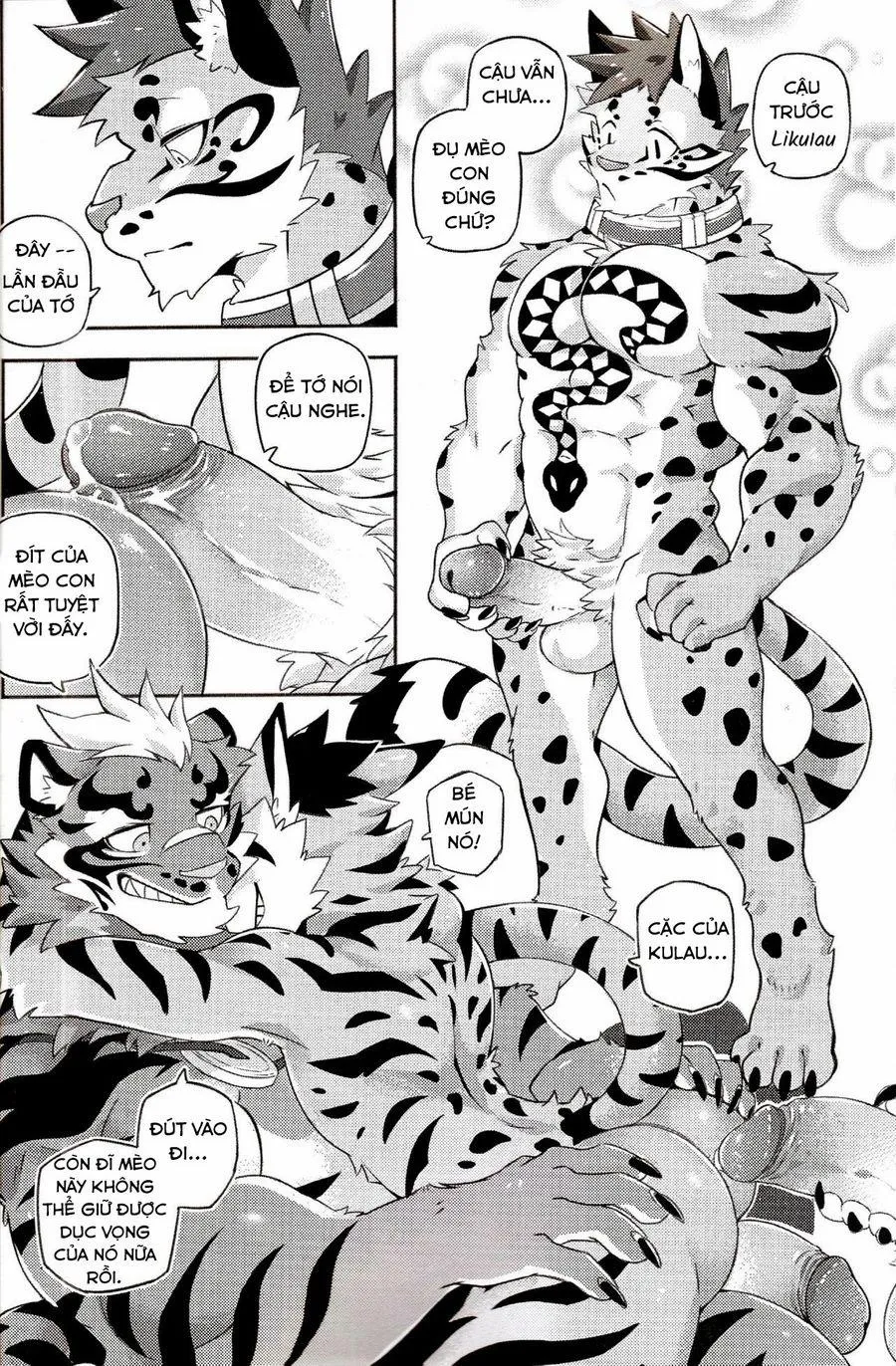 HentaiVN.net - Ảnh 14 - Nekonoyu (Nekojishi) - Chap 1