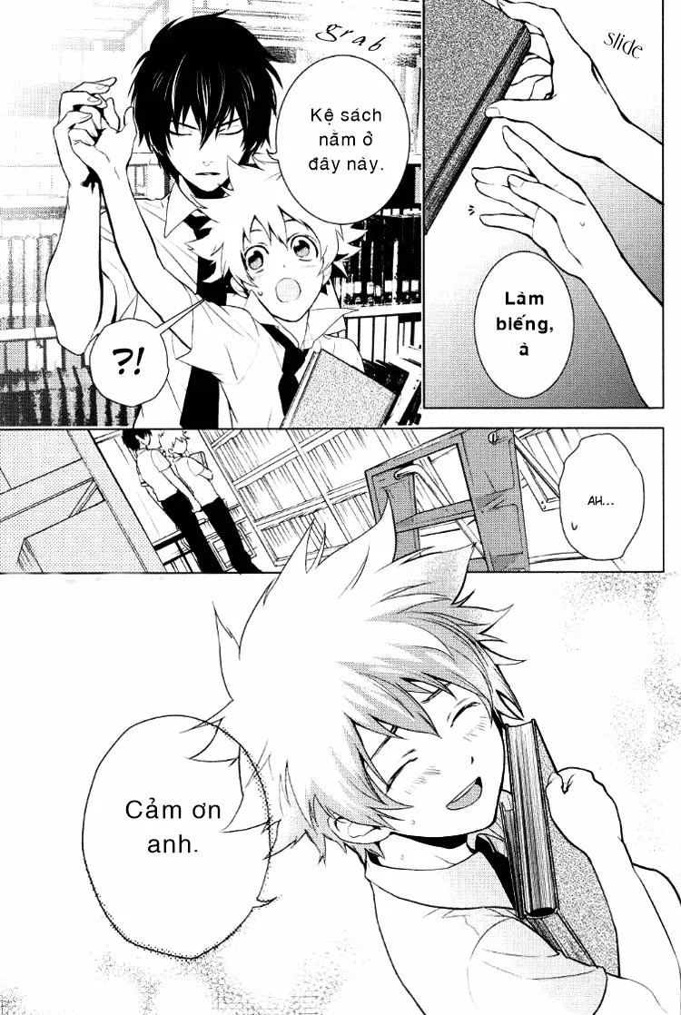 HentaiVN.net - Ảnh 5 - Ichigo milk (Katekyo Hitman Reborn!) - Chap 1